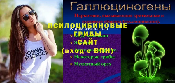 МДМА Елизово