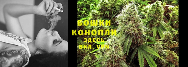 стафф Дмитров