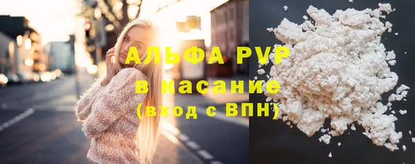 стафф Дмитров