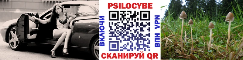 Псилоцибиновые грибы MAGIC MUSHROOMS Бугуруслан